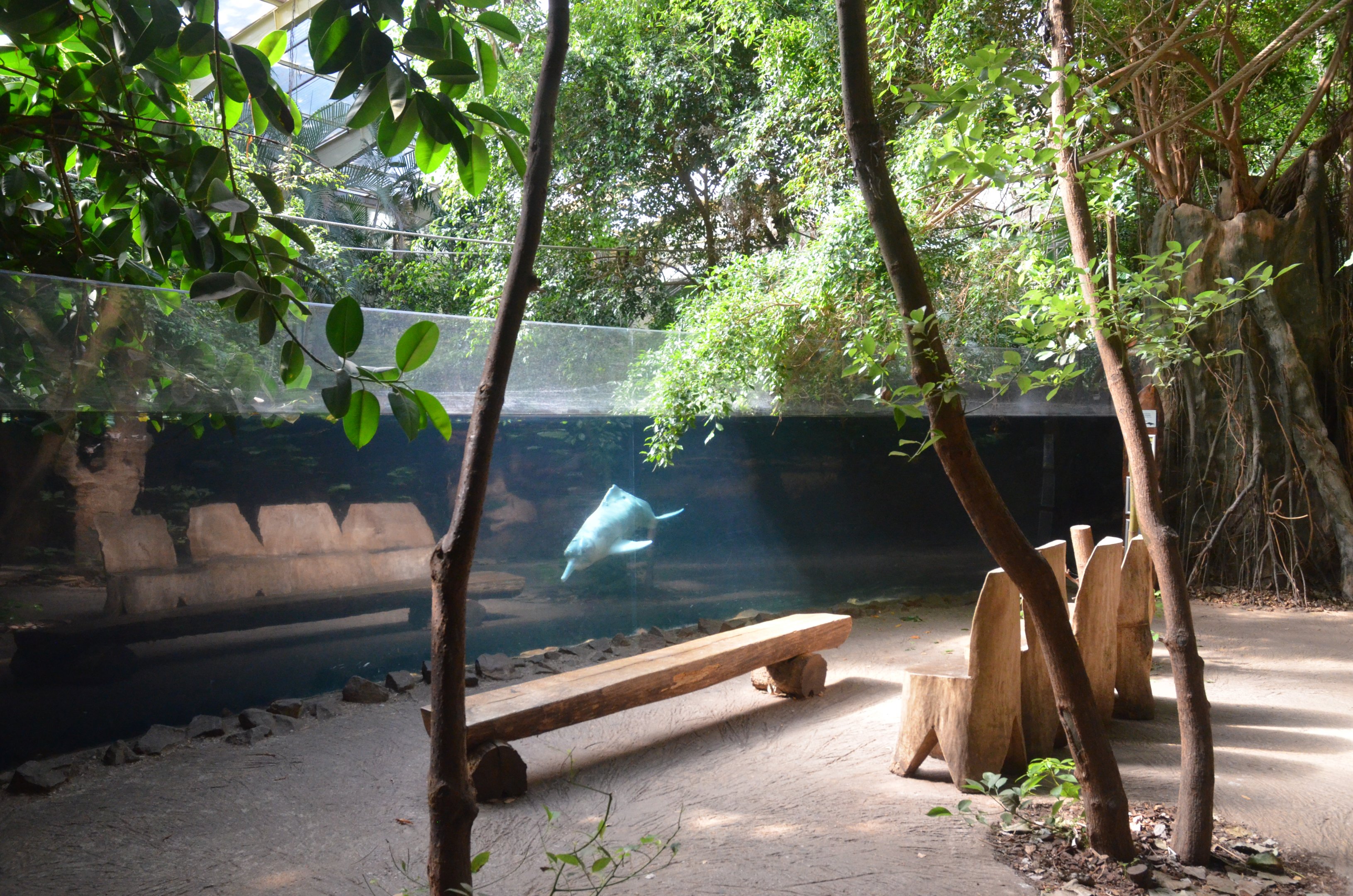 Rio Negro at Duisburg, 17/06/19