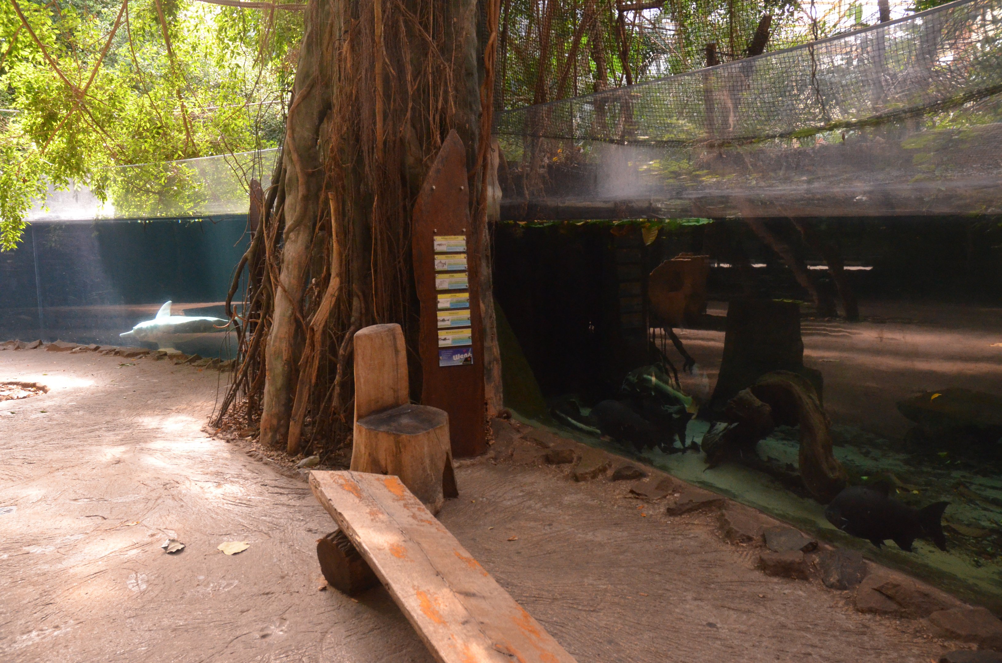 Rio Negro at Duisburg, 17/06/19