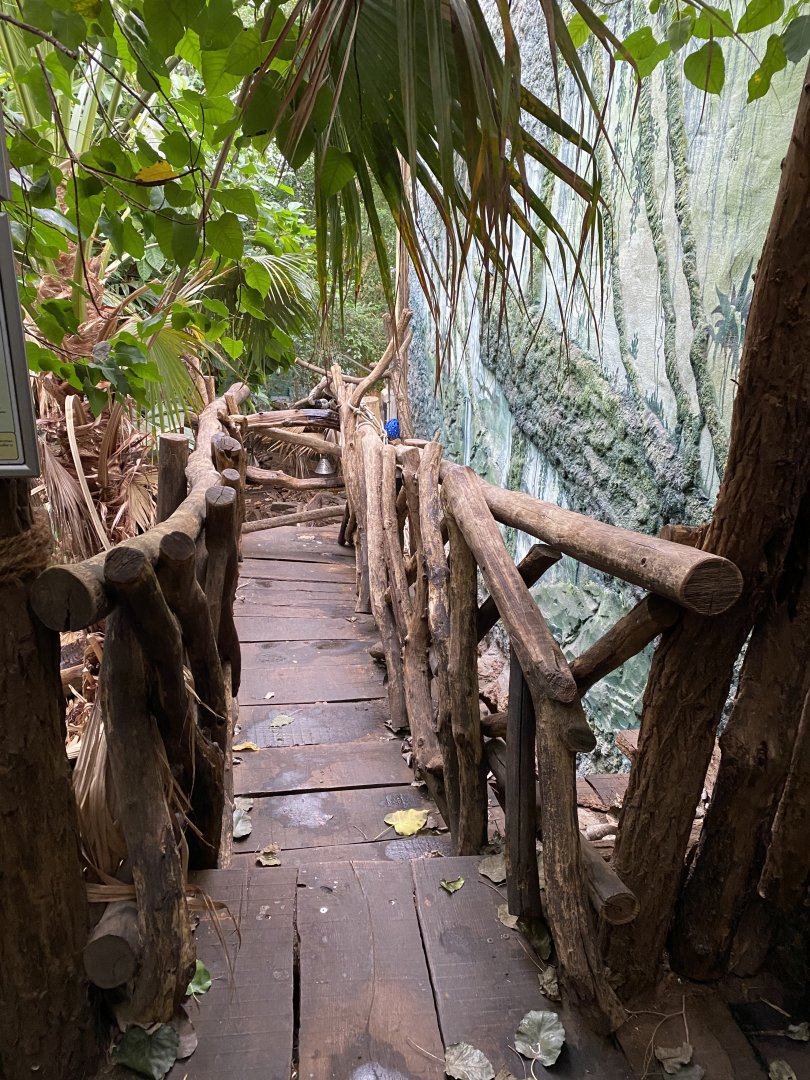 Rio Negro bridge 011219