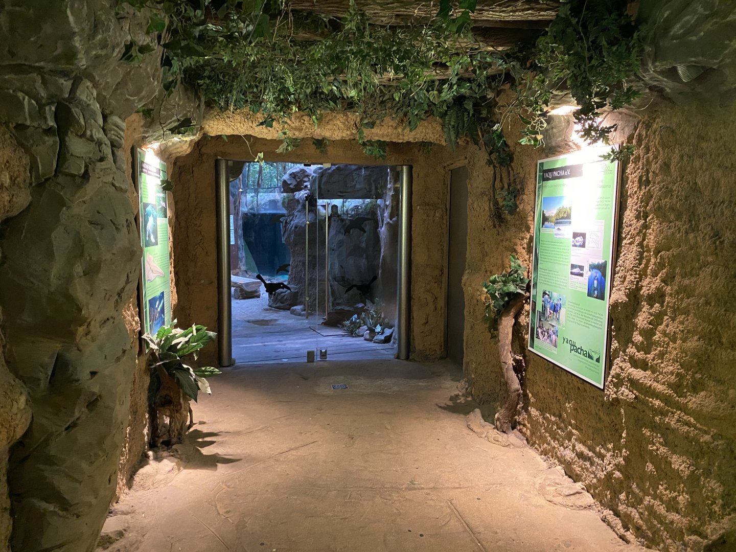 Rio Negro entrance 011219