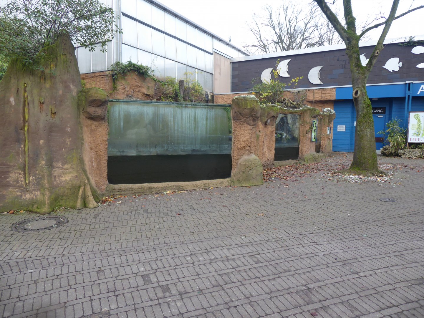 Rio Negro - Giant otter outdoors view 011219