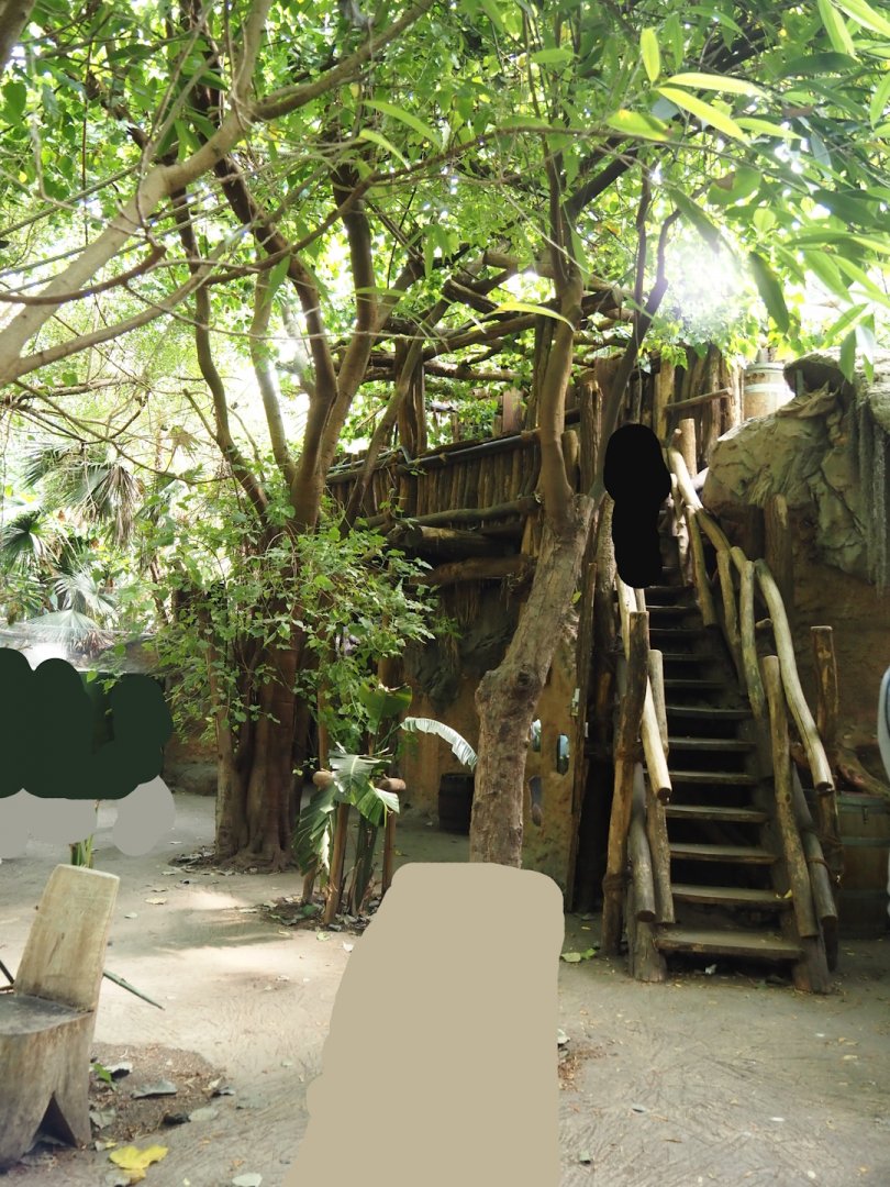 Rio Negro house - Access to upper viewing area, 2024-06-08