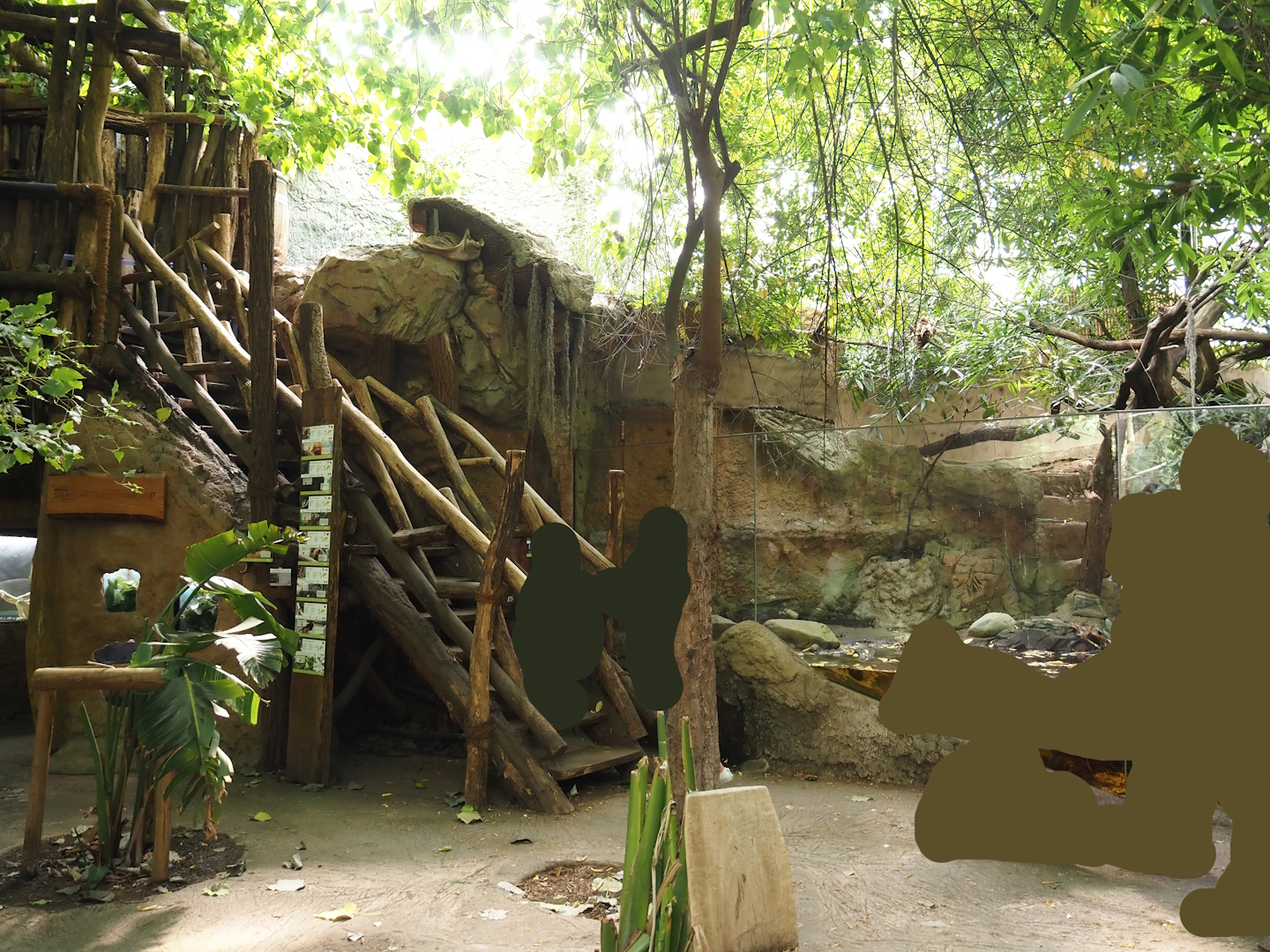 Rio Negro house - Access to upper viewing area and part of former lowland paca exhibit, 2024-06-08