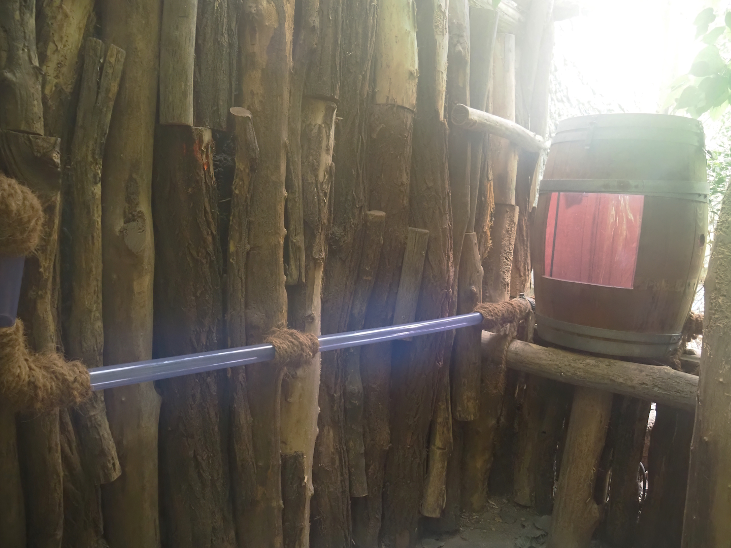 Rio Negro house - Upper part of the Leafcutter ant colony, 2024-06-08