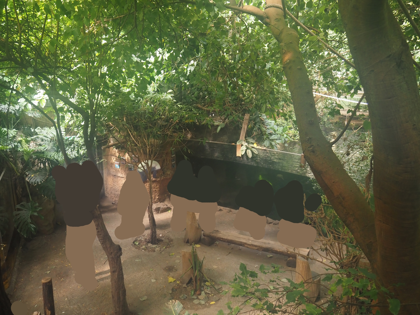 Rio Negro house - View from upper viewing area, 2024-06-08