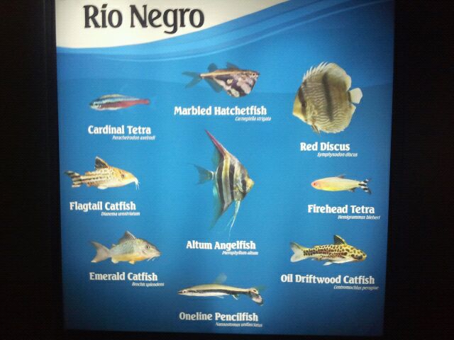 Rio Negro sign in World Rivers