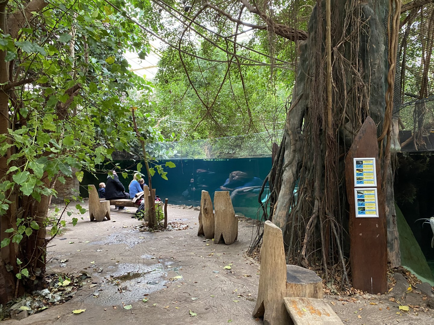 Rio Negro - view towards Orinoco dolphin exhibit 011219