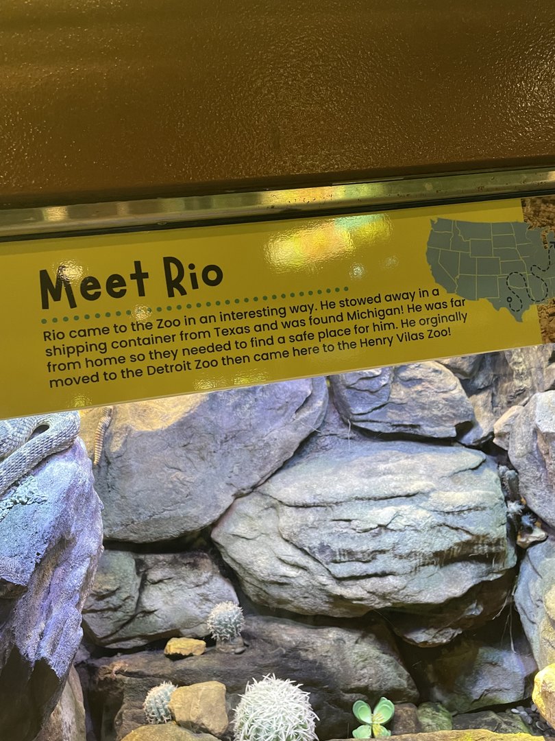 Rio’s Story
