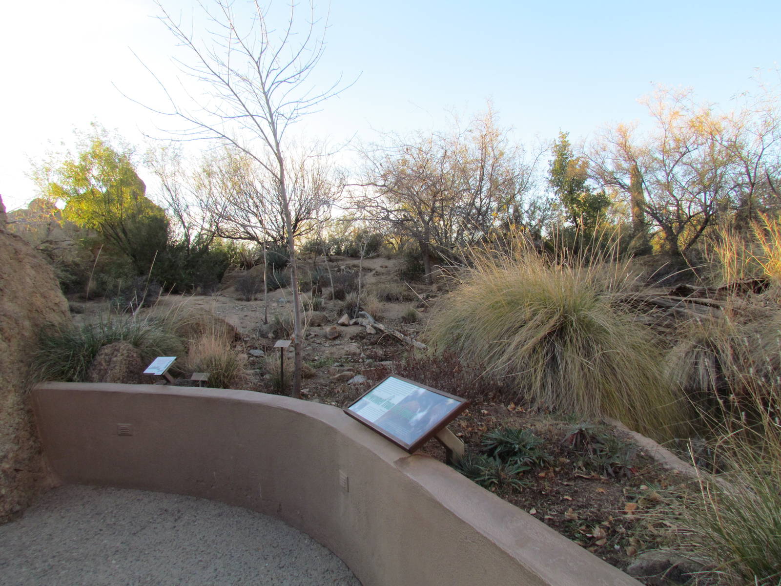 Riparian Corridor - White-nosed Coati Exhibit