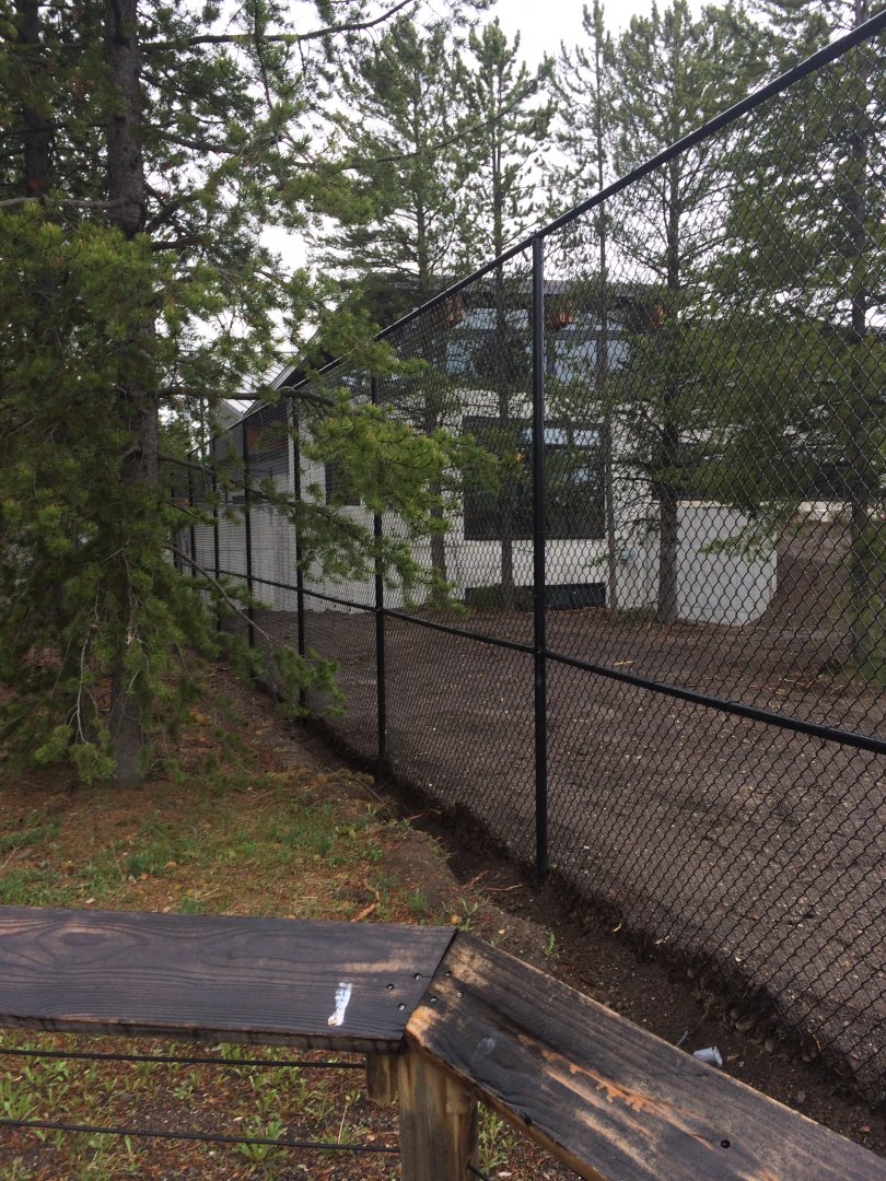 Riparian exhibit construction