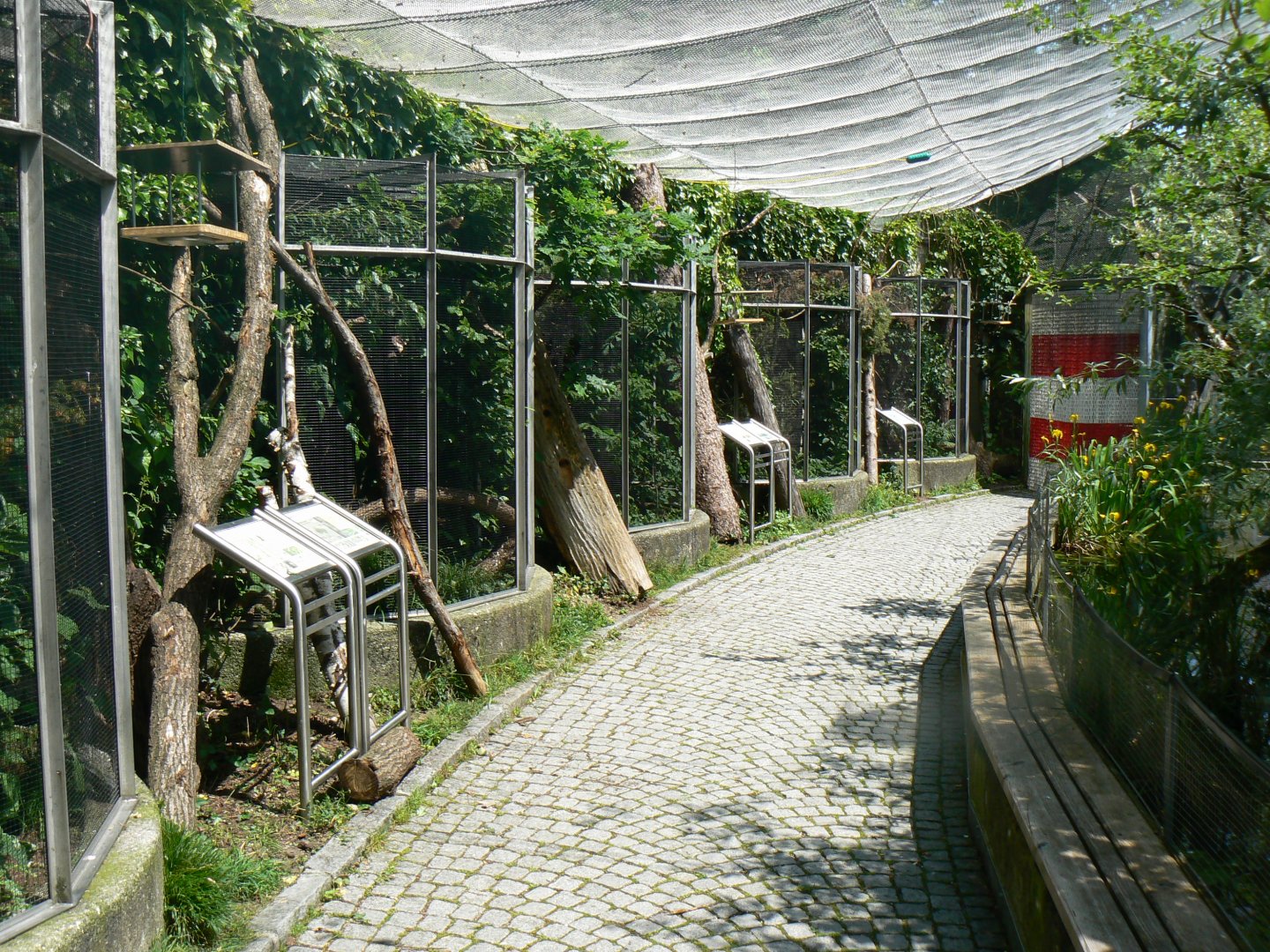 Riparian Forest Aviary - 4 June 2019