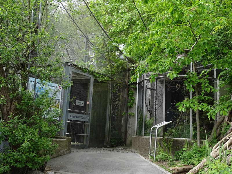 Riparian forest aviary