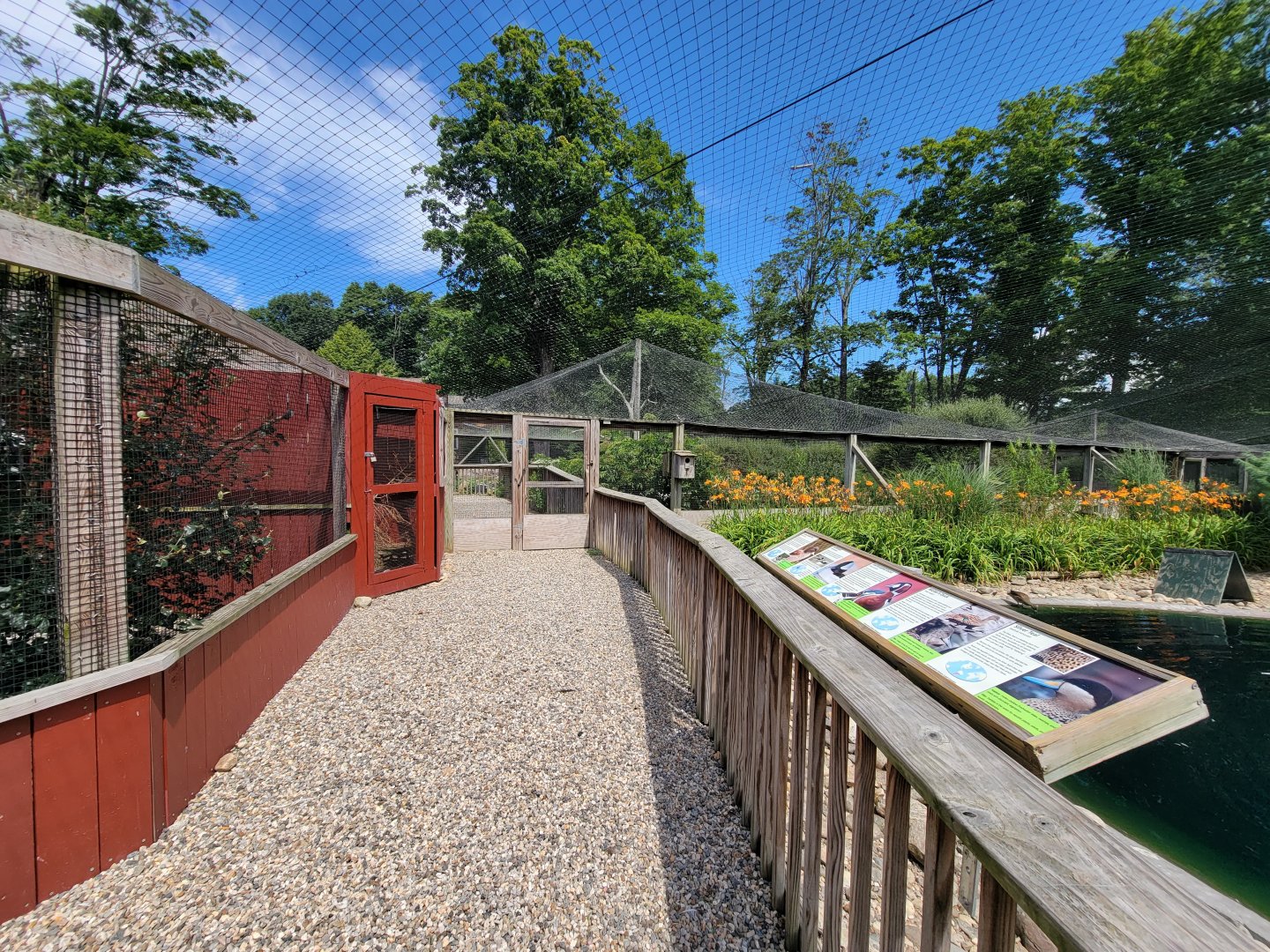 Ripley Waterfowl Conservancy - 2nd walkthrough aviary, pigeons on left, 1st walkthrough aviary ahead