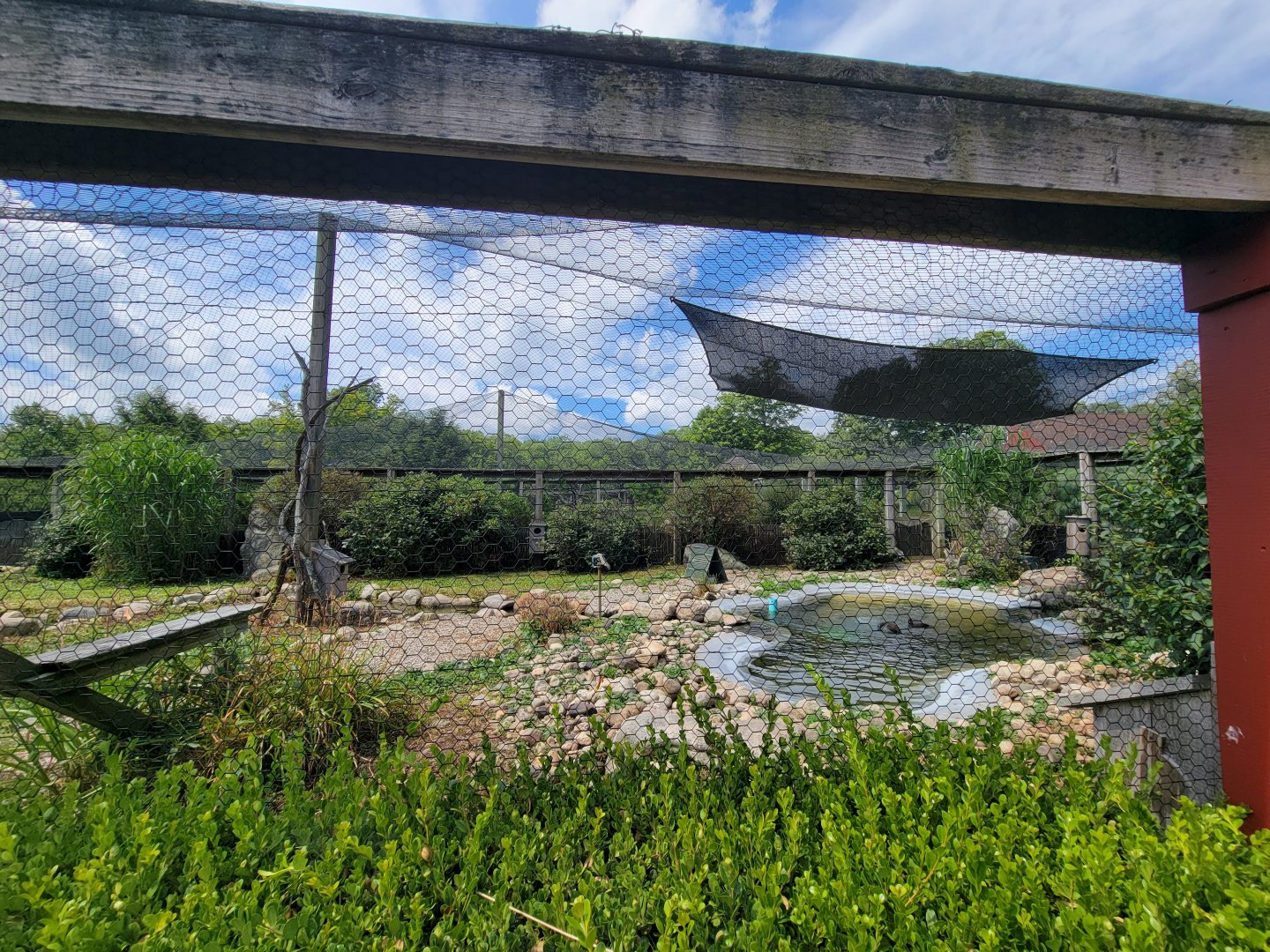Ripley Waterfowl Conservancy - 4th aviary