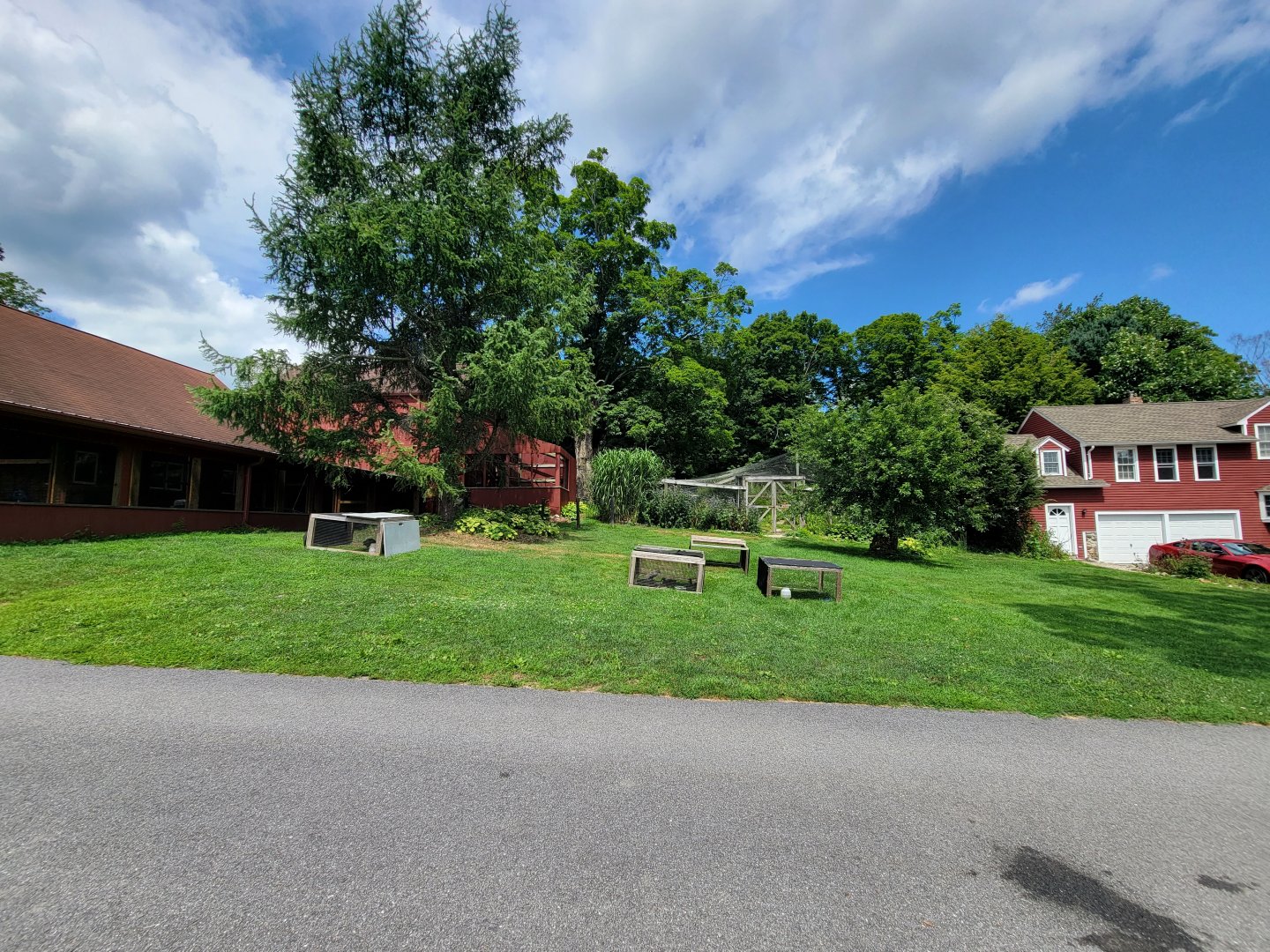 Ripley Waterfowl Conservancy - Barn on left, eagle-owl and private aviaries in back, ducklings in front