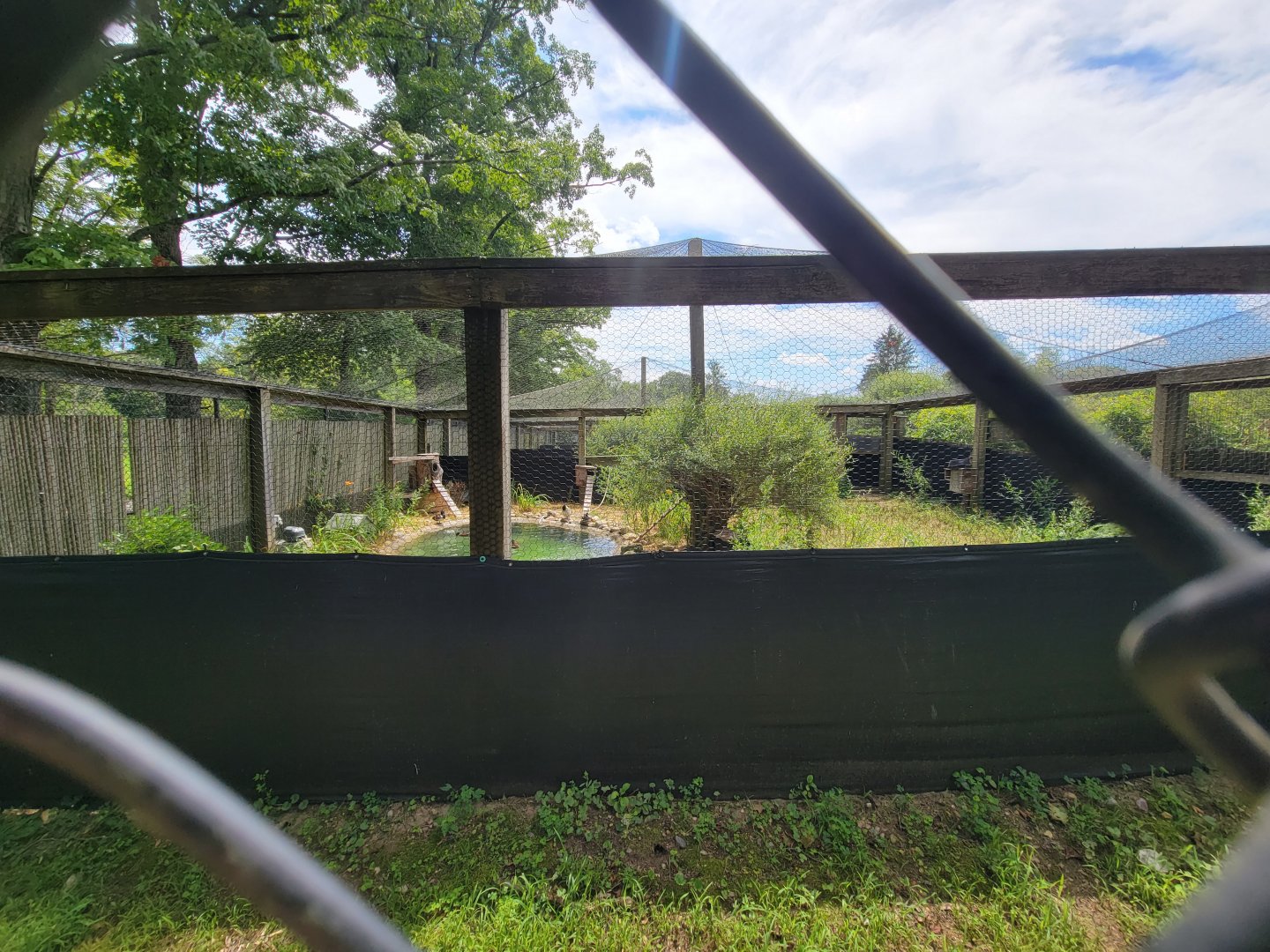 Ripley Waterfowl Conservancy - Breeding aviaries