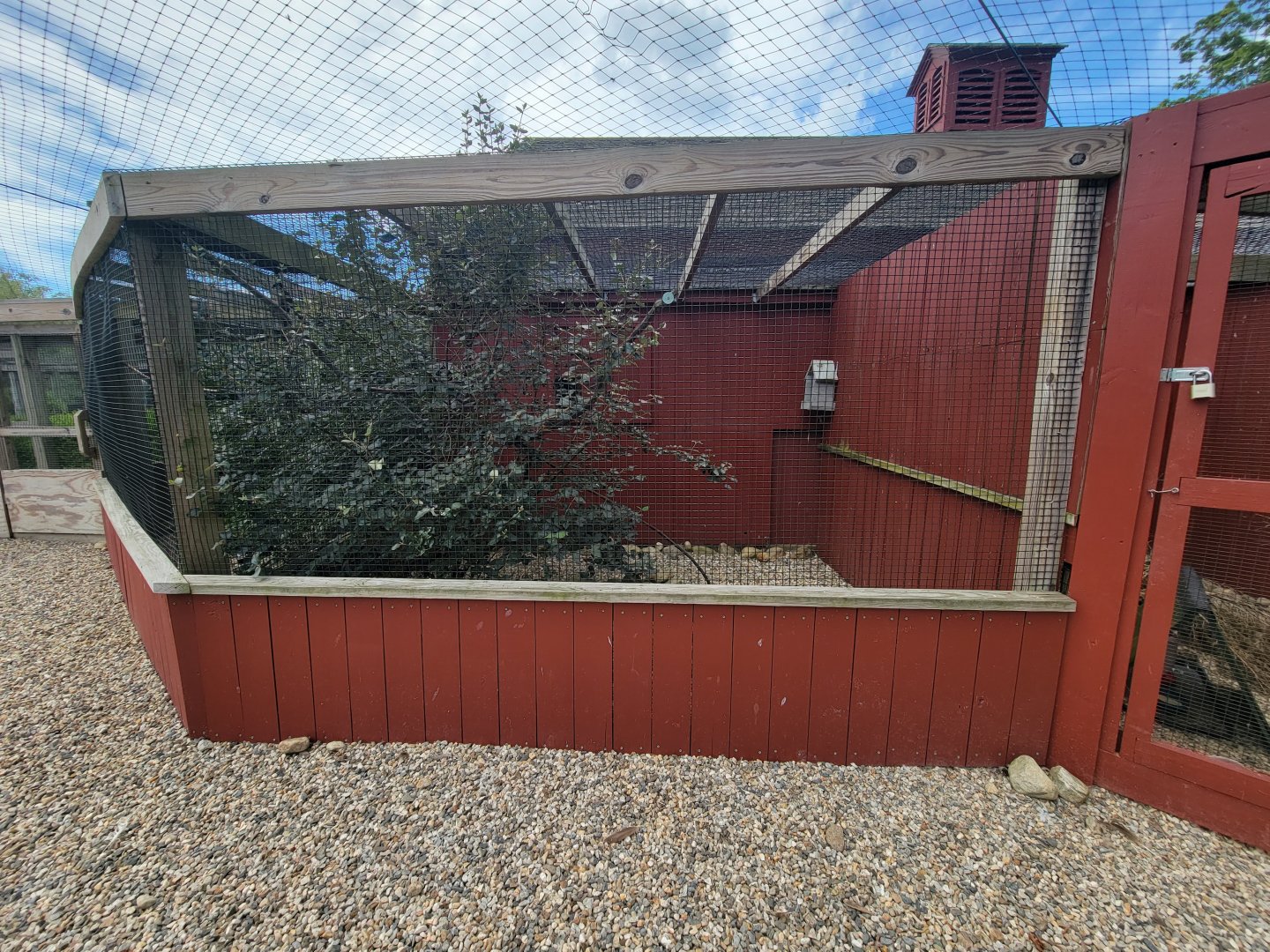 Ripley Waterfowl Conservancy - Crested pigeons