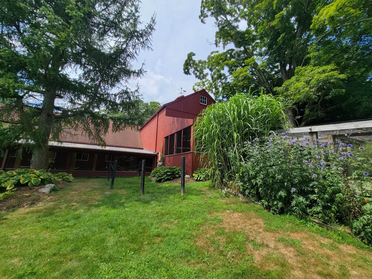 Ripley Waterfowl Conservancy - Eurasian eagle-owl
