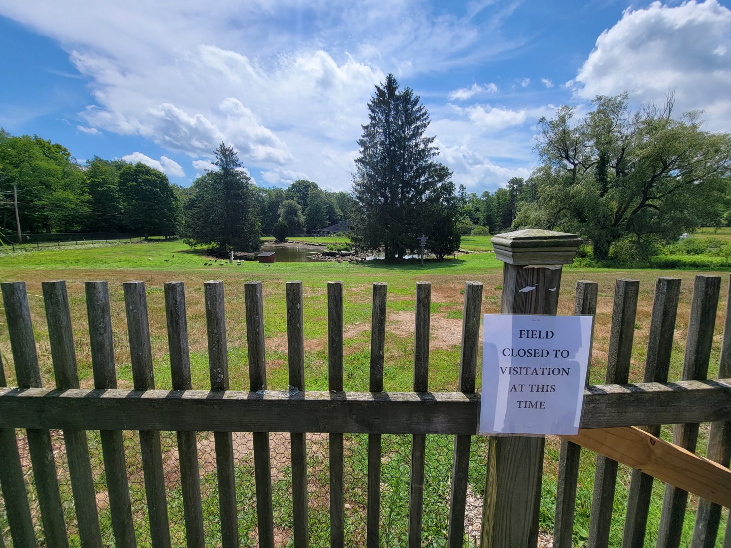 Ripley Waterfowl Conservancy - Field and back aviaries closed :(