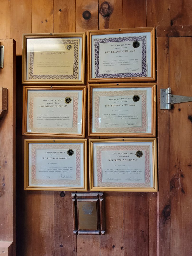 Ripley Waterfowl Conservancy - First breeding certificates