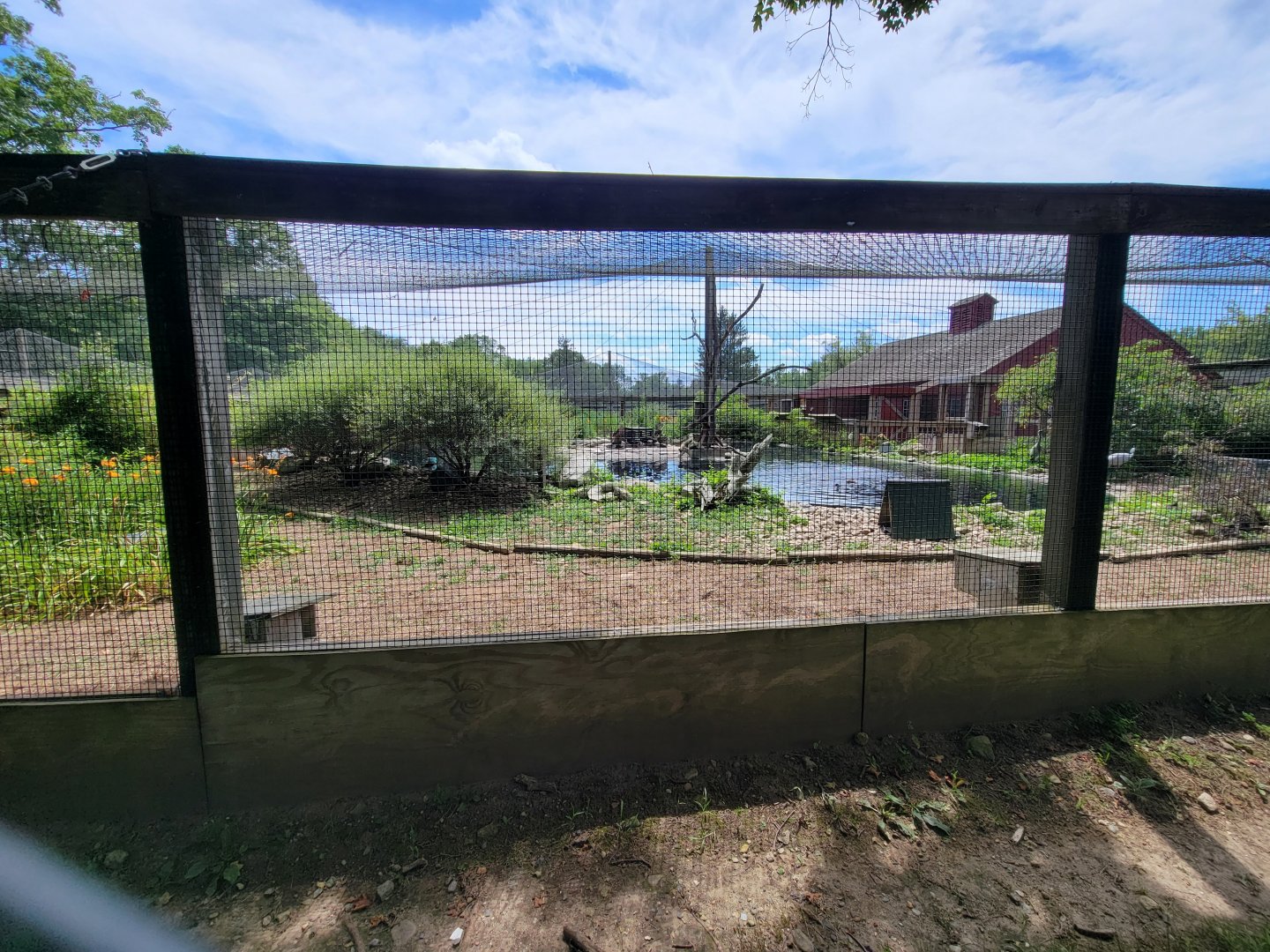 Ripley Waterfowl Conservancy - First walkthrough aviary from side