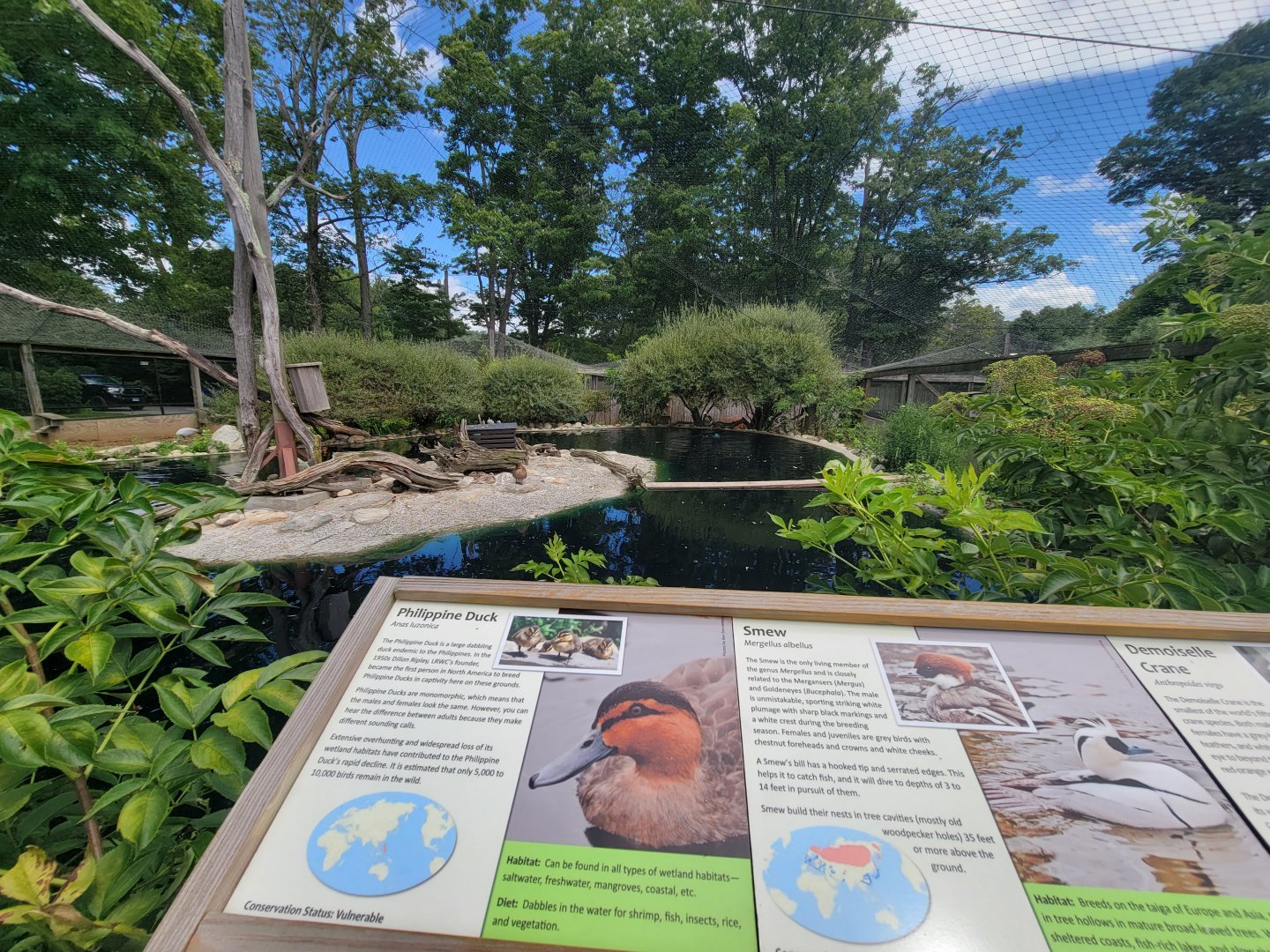 Ripley Waterfowl Conservancy - First walkthrough aviary