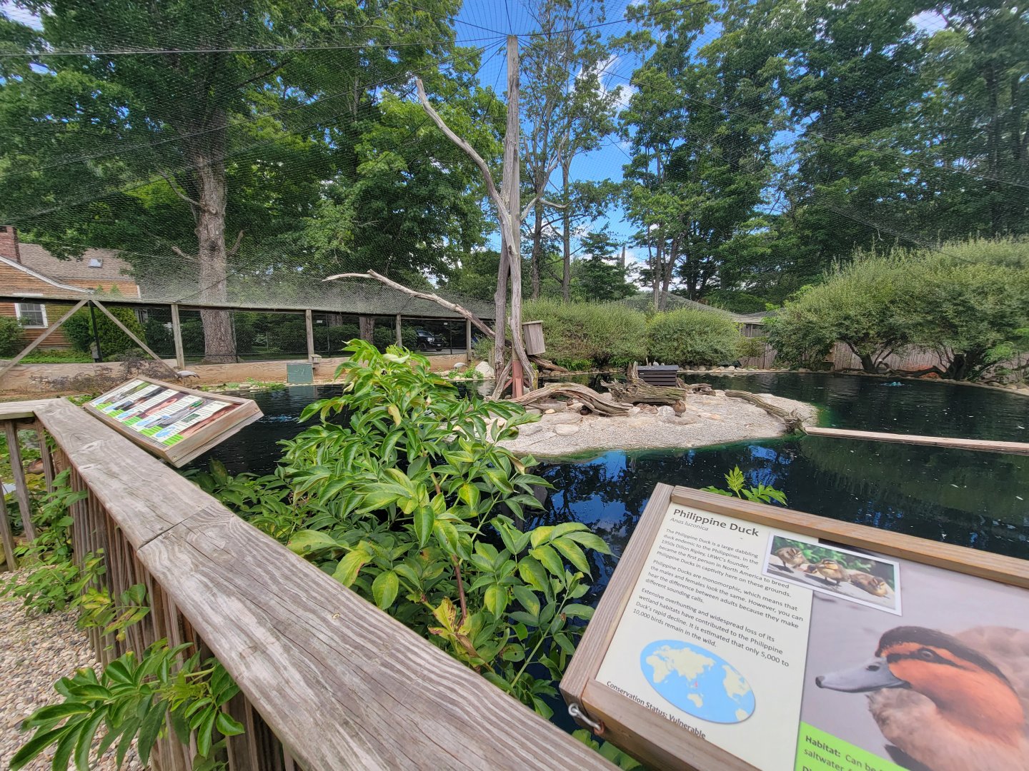 Ripley Waterfowl Conservancy - First walkthrough aviary
