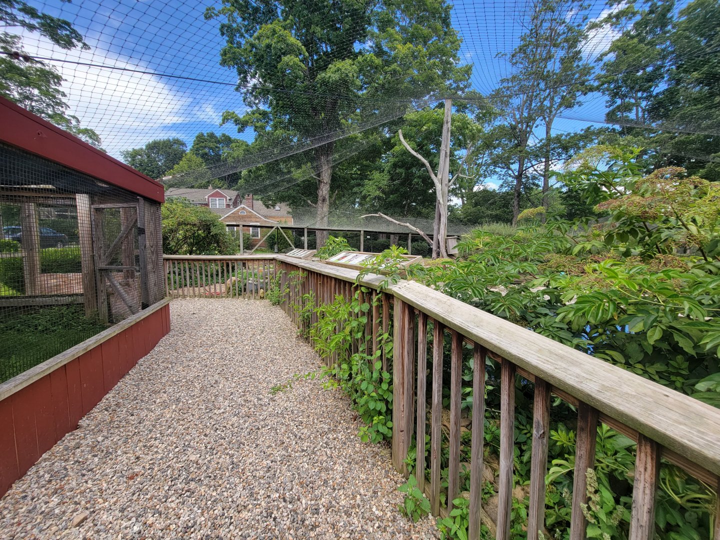 Ripley Waterfowl Conservancy - first walkthrough aviary