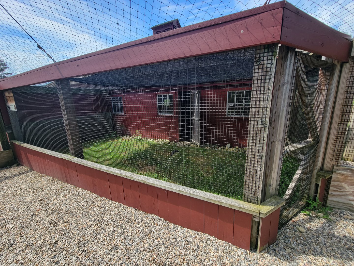Ripley Waterfowl Conservancy - Harris's hawk outdoor area