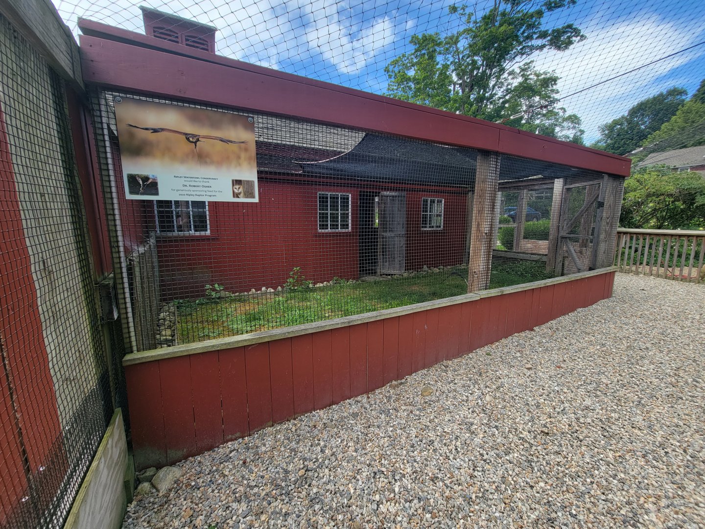 Ripley Waterfowl Conservancy - Harris's hawk outdoor area