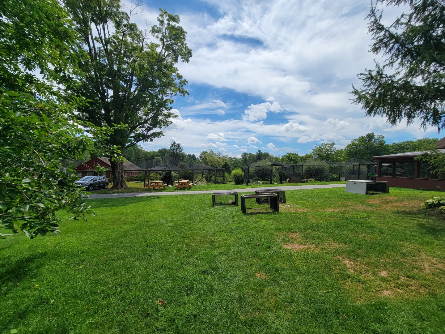 Ripley Waterfowl Conservancy - Looking at siberian crane, smaller aviaries, ducklings from by the private area