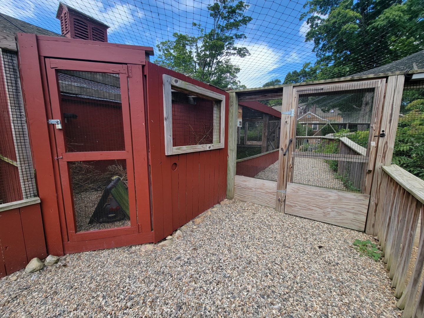 Ripley Waterfowl Conservancy - Northern bobwhite quail, door between walkthrough aviaries
