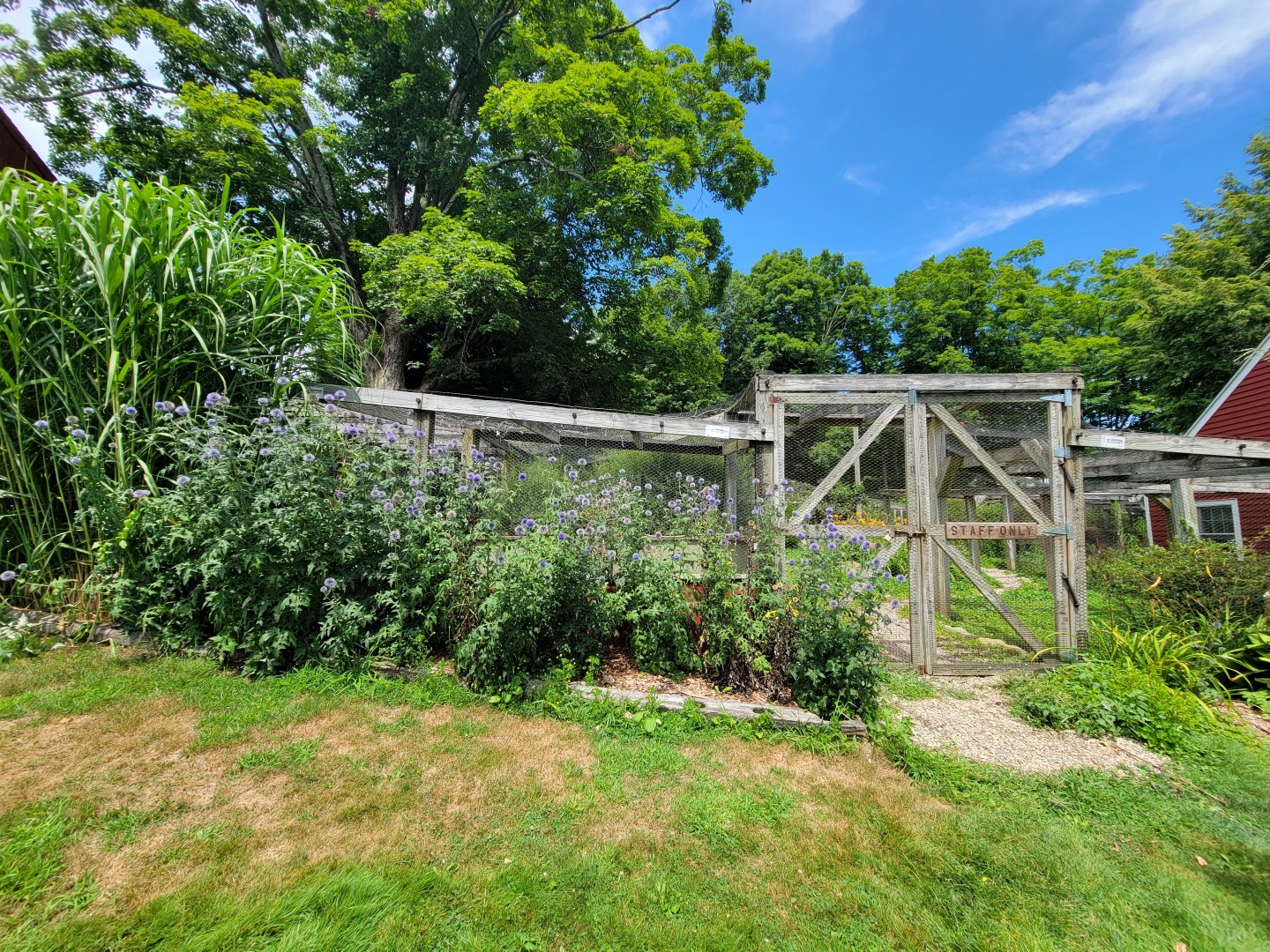 Ripley Waterfowl Conservancy - Private aviaries
