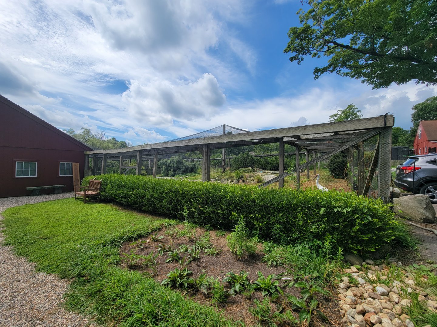 Ripley Waterfowl Conservancy - Siberian crane yard