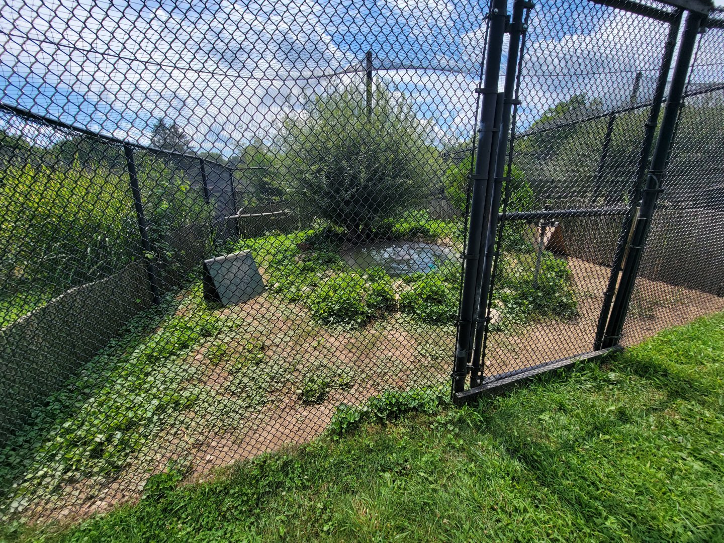 Ripley Waterfowl Conservancy - Smaller aviaries