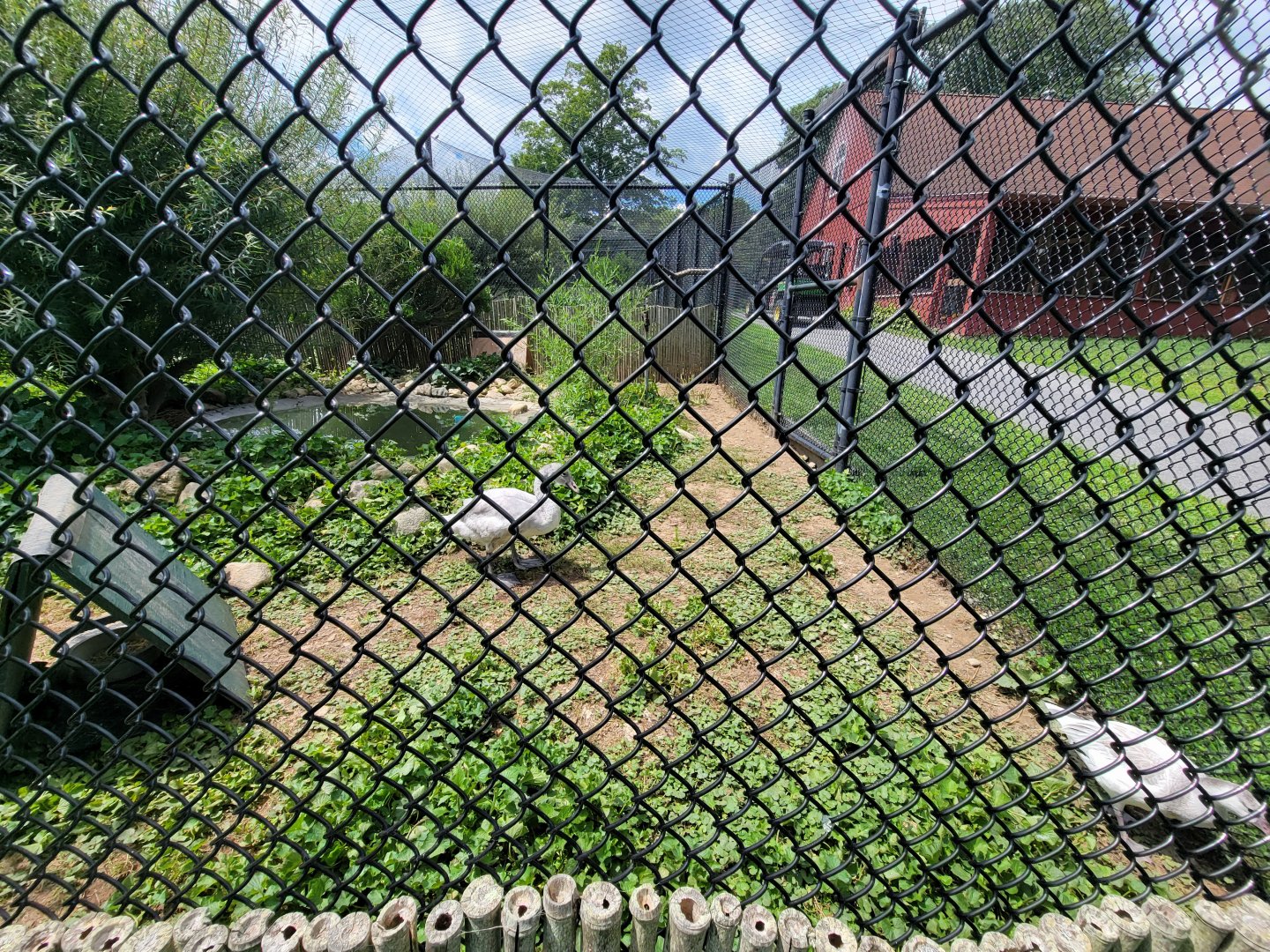 Ripley Waterfowl Conservancy - Smaller aviaries