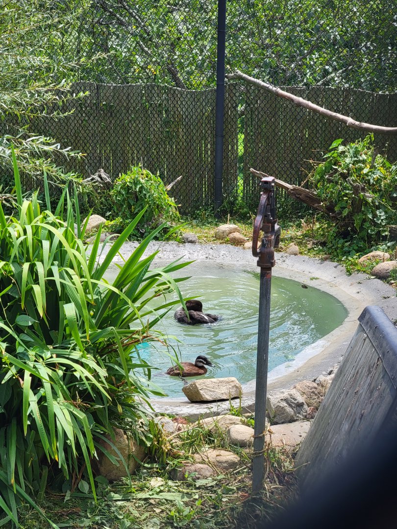 Ripley Waterfowl Conservancy - Smaller aviaries