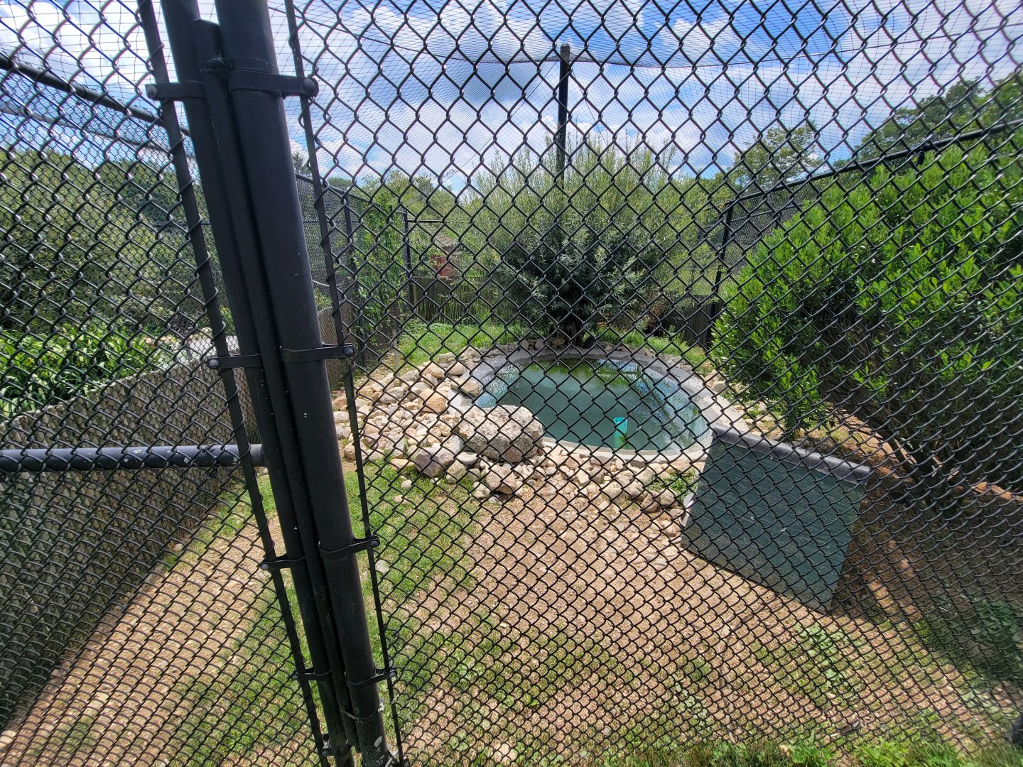 Ripley Waterfowl Conservancy - Smaller aviaries