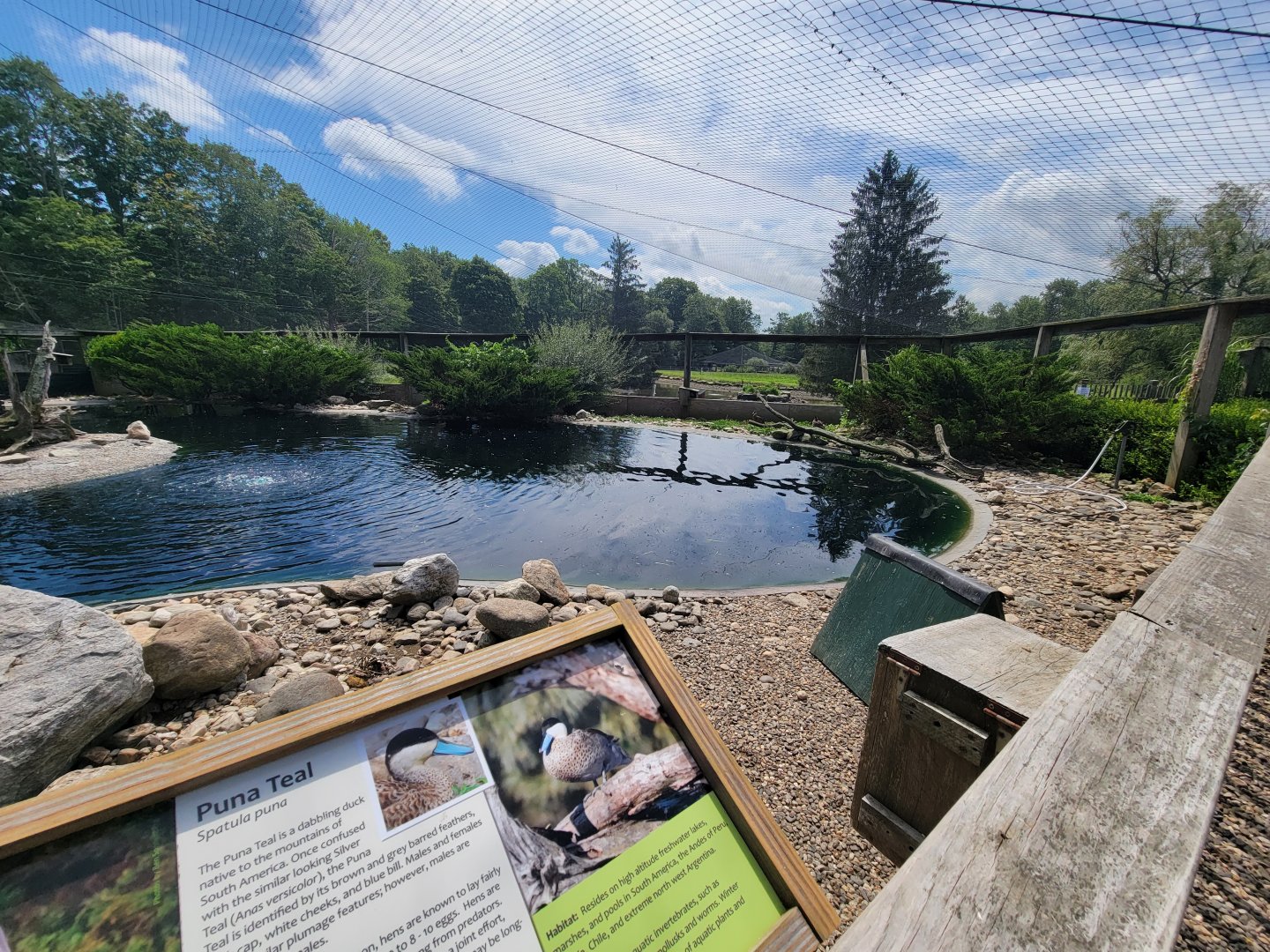 Ripley Waterfowl Conservancy - Walkthrough aviary 2