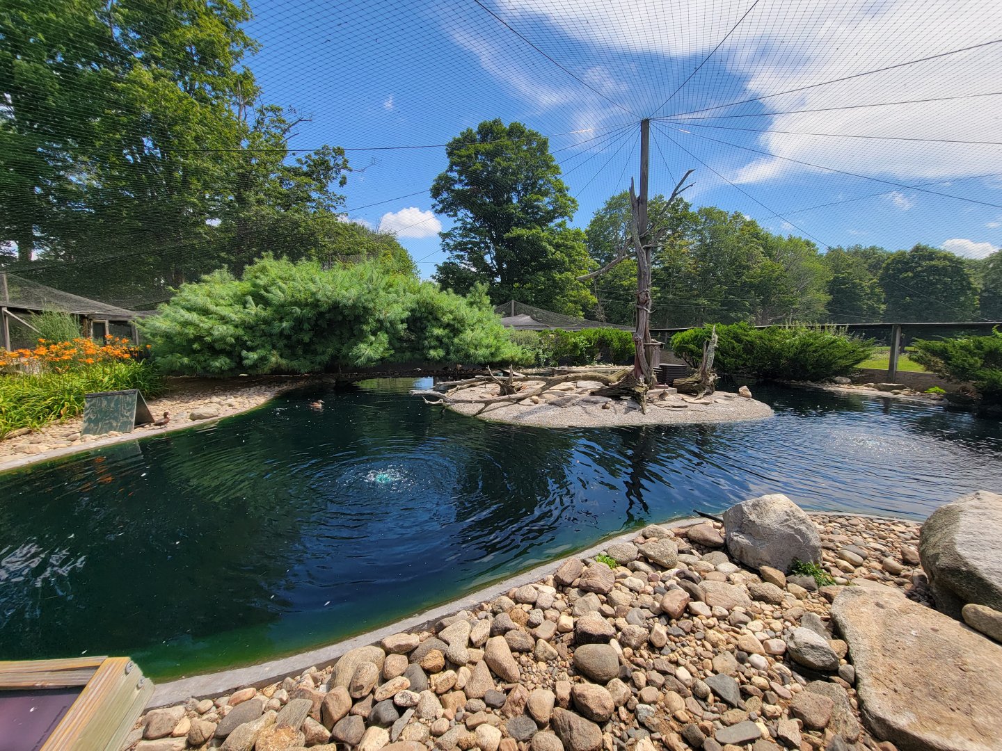 Ripley Waterfowl Conservancy - Walkthrough aviary 2