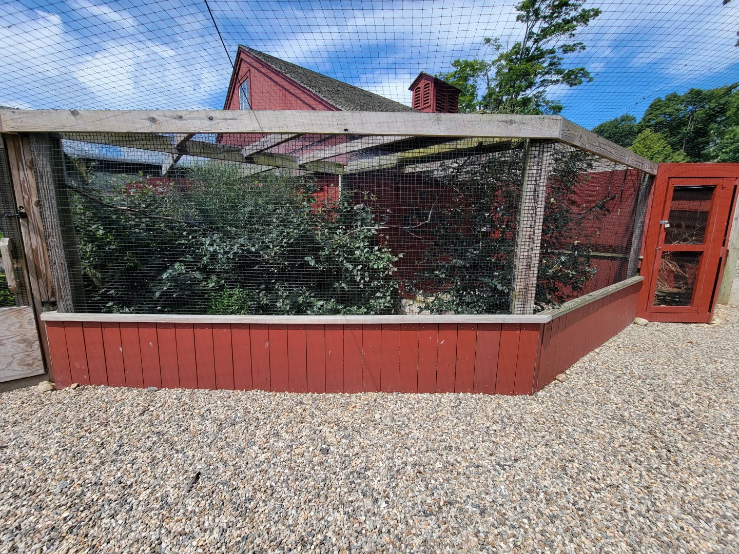 Ripley Waterfowl Conservancy - White-crested laughingthrush