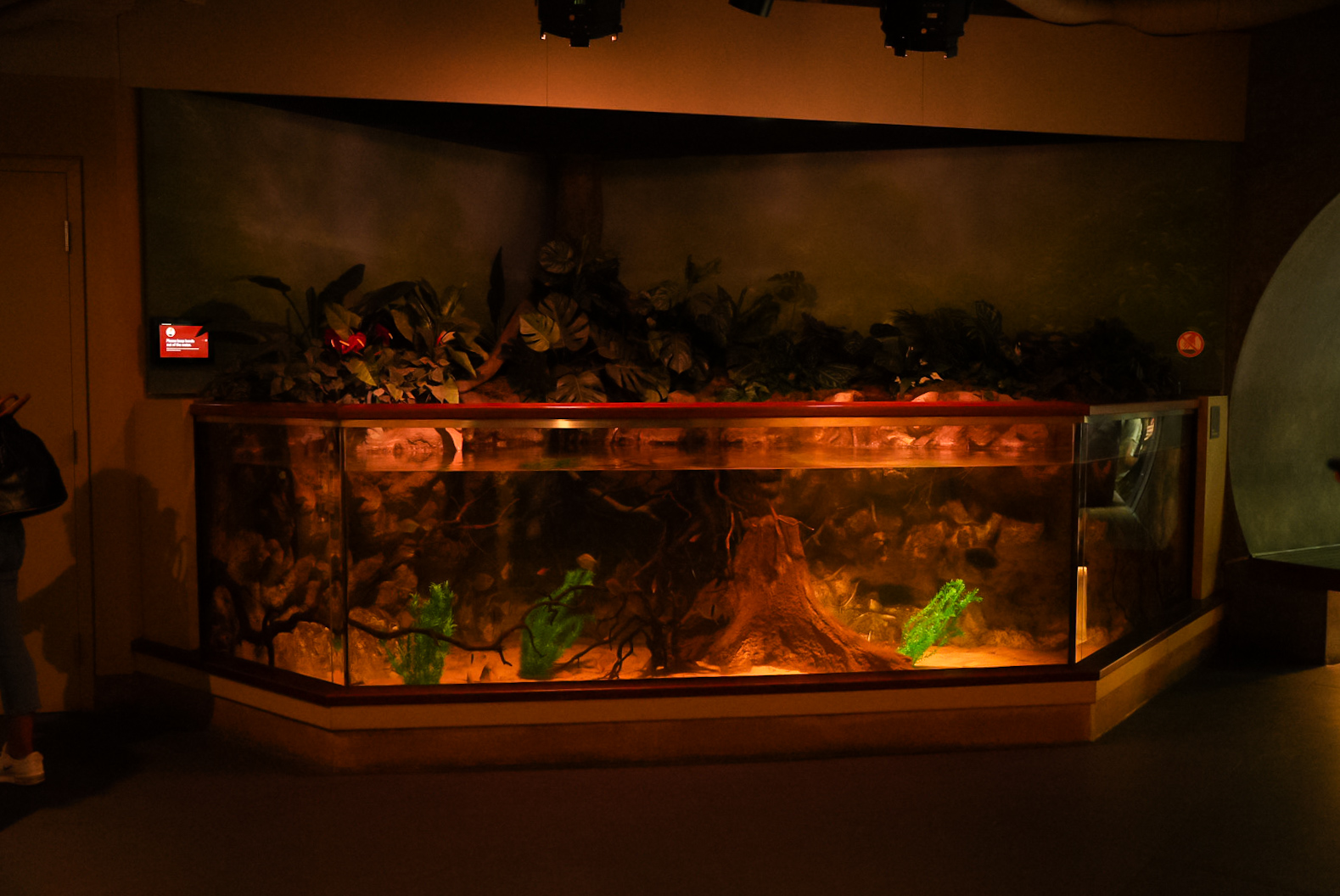 "River Bank" exhibit (Amazon Flooded Forest)