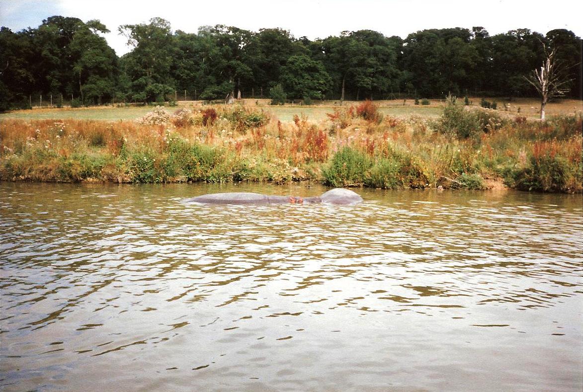 River Boat Safari - July 1989