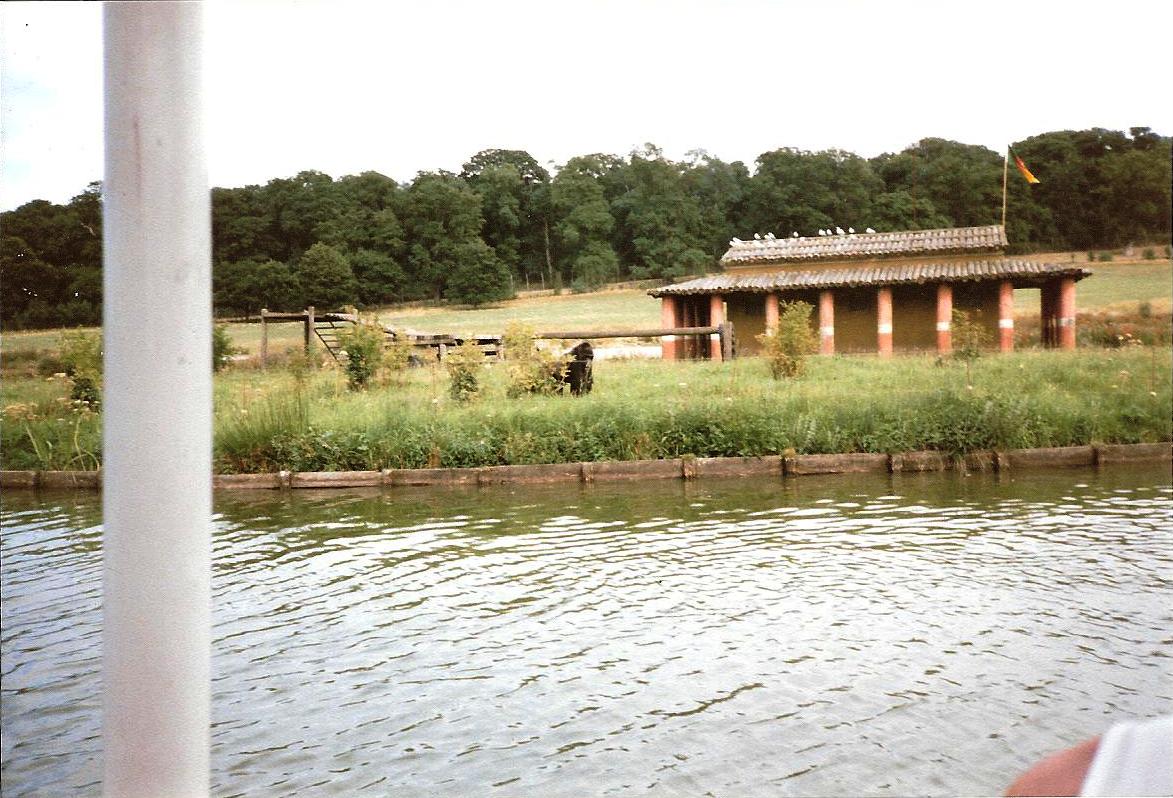 River Boat Safari - July 1989