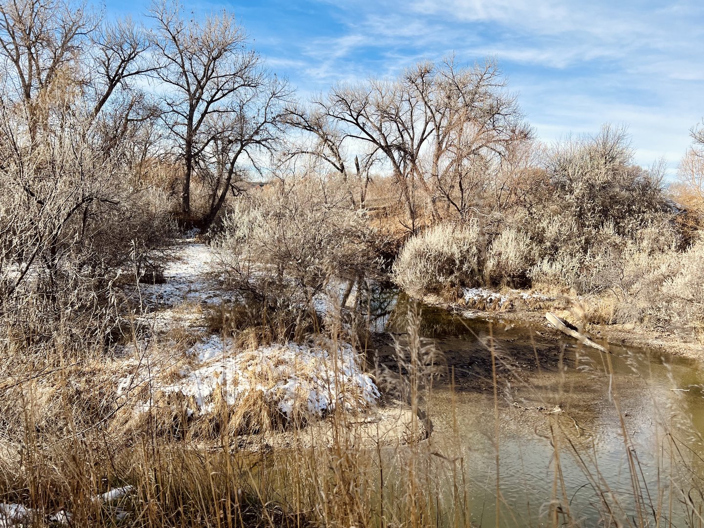 River Bottom Habitat