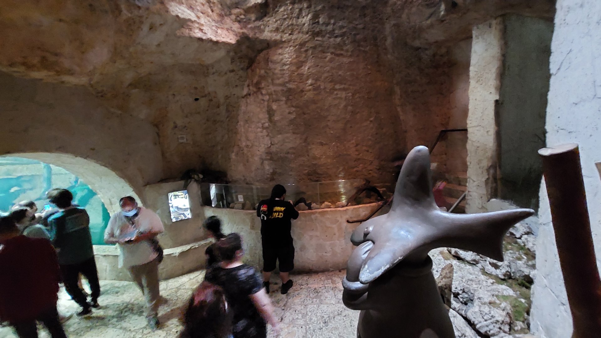 River Delta overview