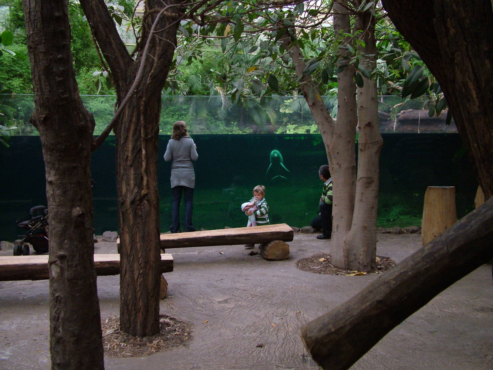 River Dolphin viewing in Rio Negro at Duisburg 15/05/09
