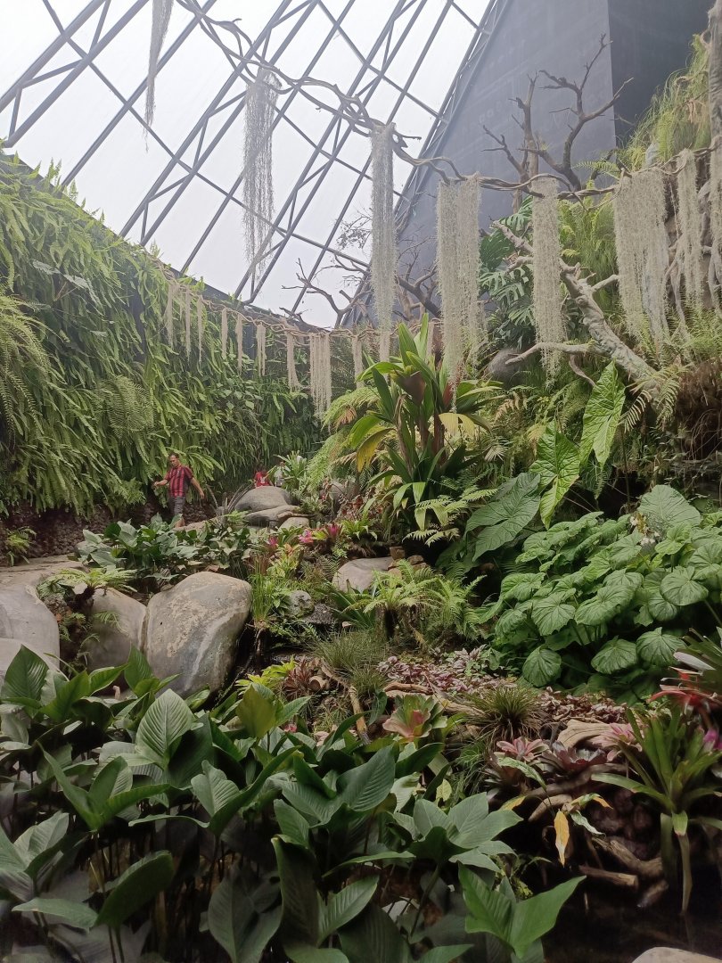 River Ecosystem Display