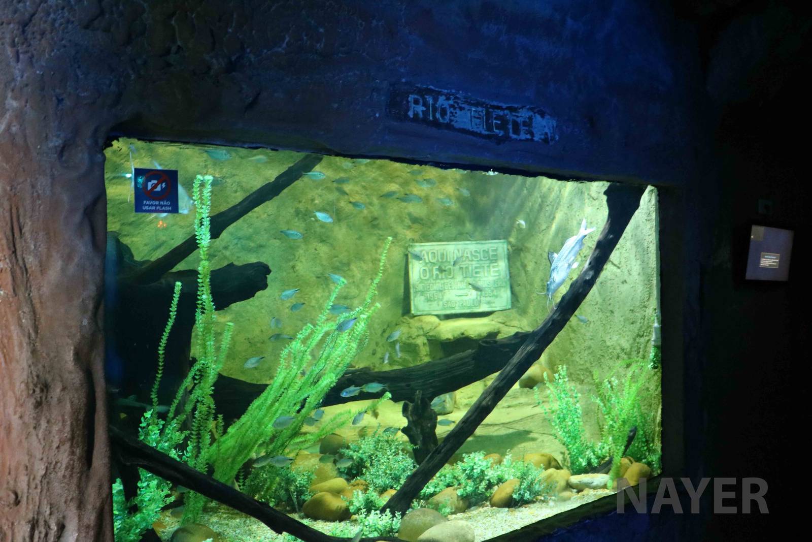 River exhibit, April 2016
