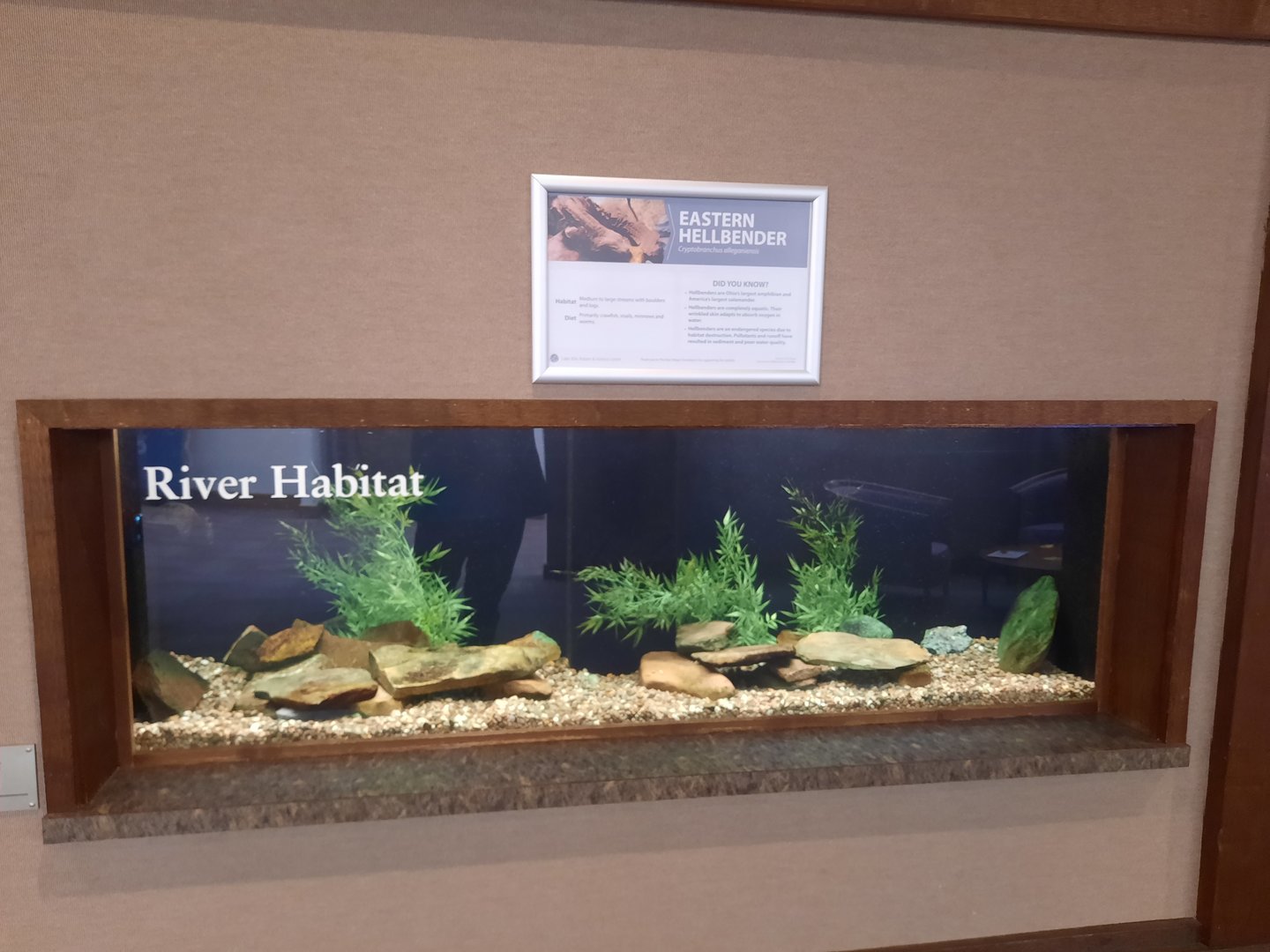 River Exhibit